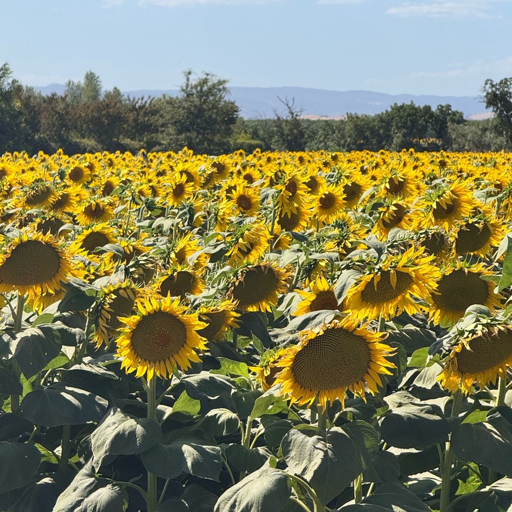 Helpful Pricing Info About my Closet